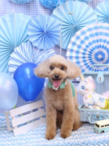 20231122うたちゃん